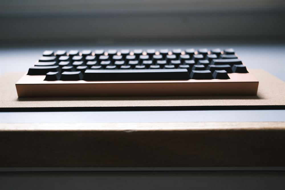 Low side profile catching window light on the coral case