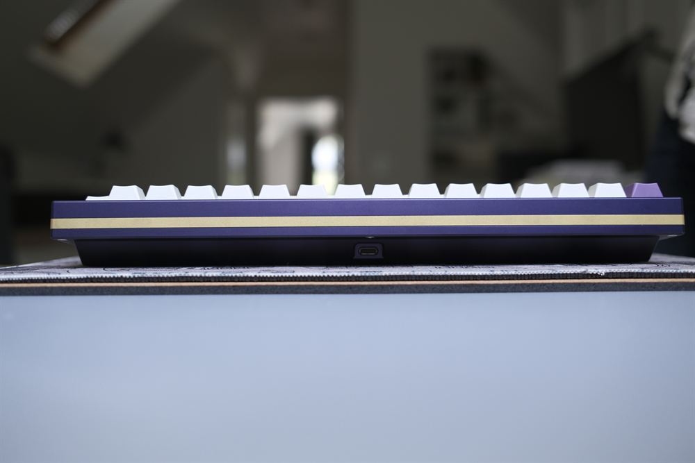 Straight-on rear side profile showing the gold stripe and USB-C port