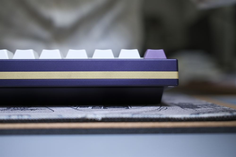 Tight side-profile macro of the gold accent stripe