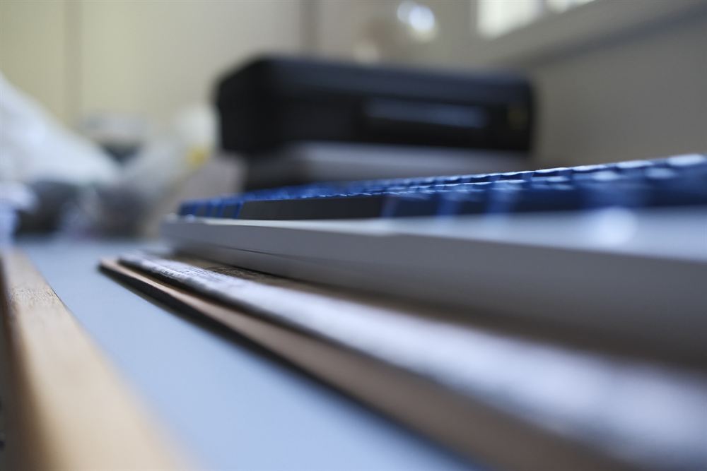 Low macro side profile with shallow depth of field